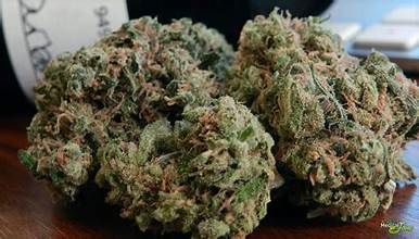 durban poison