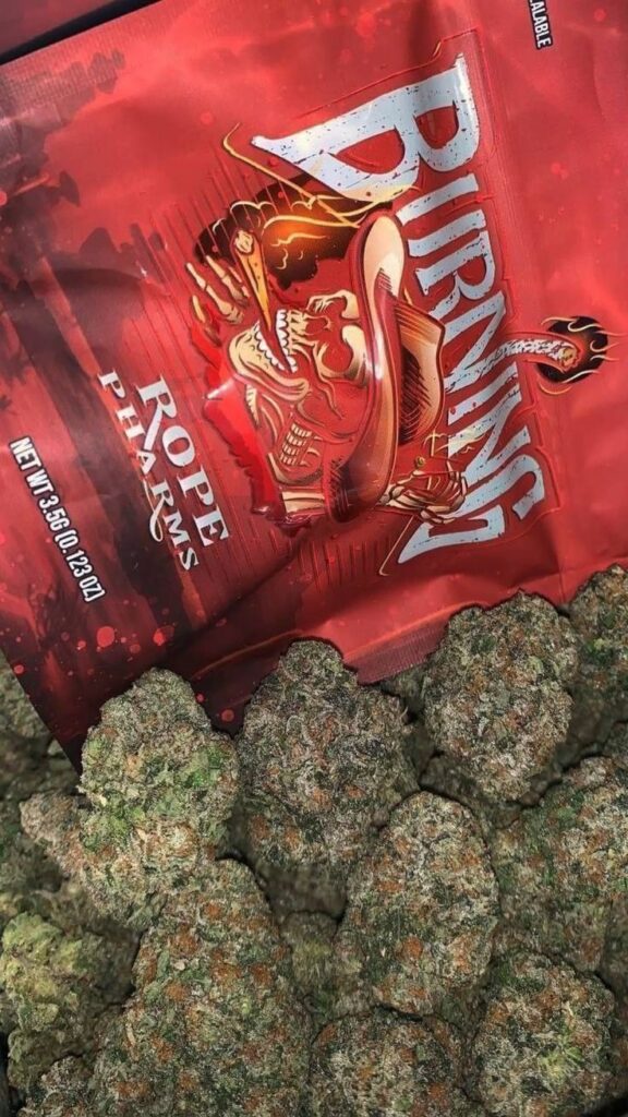 buy CBD weed Amsterdam