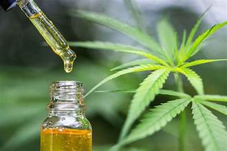 buy cannabis oil Amsterdam